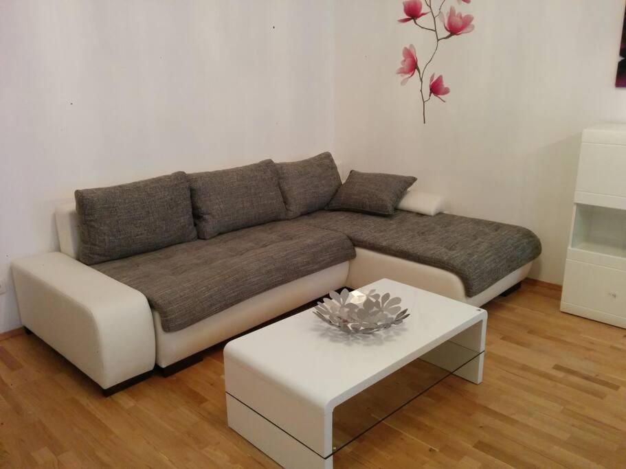 Central Apartment Vienna City Center Dış mekan fotoğraf